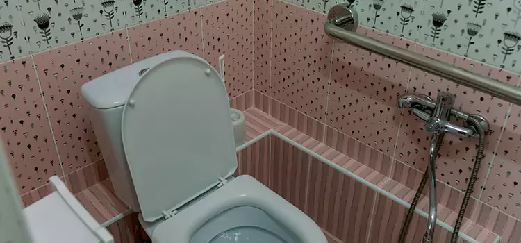 Meeting Diverse Needs With Accessible Restroom Solutions in Spanaway, WA